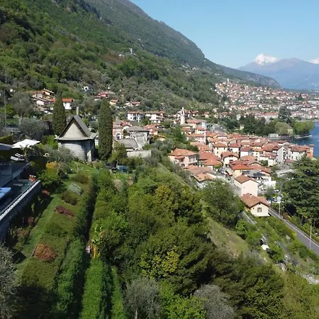 Molli Di