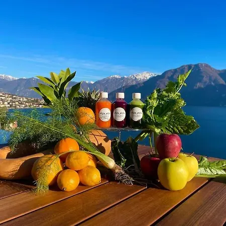 Molli Di ヴィラ *