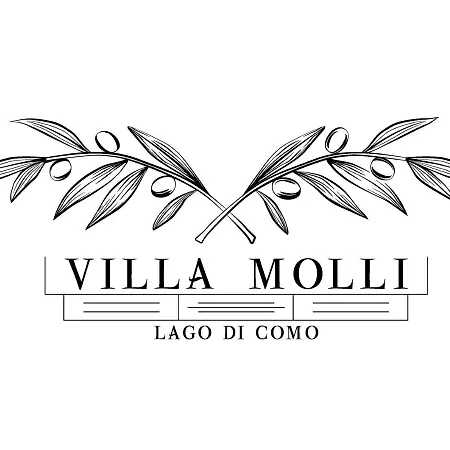 Molli Di * サーラ・コマチーナ