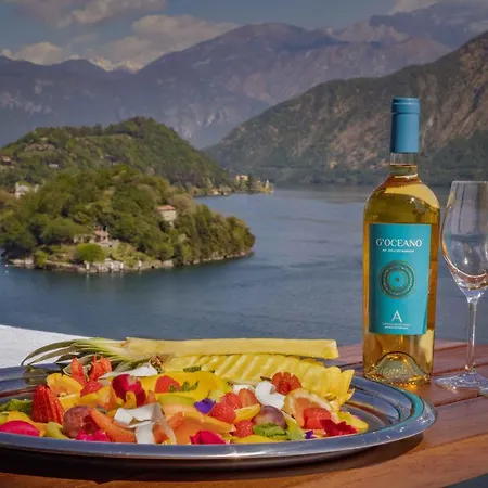 Molli Di サーラ・コマチーナ